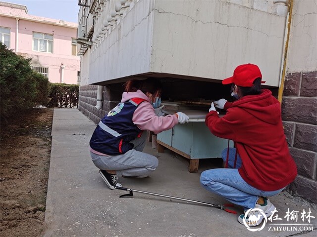 榆阳区沙河办圣景路社区开展“我为群众办实事”环境卫生整治活动