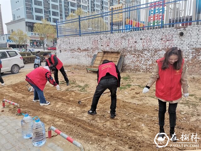 望湖路社区响应国卫复审号召，开展环境卫生大整治工作