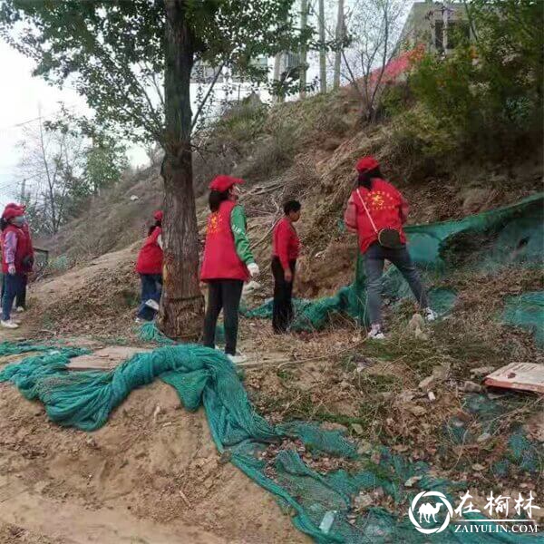 榆阳区崇文办迎滨路社区开展“绿染迎滨”空闲地整治活动