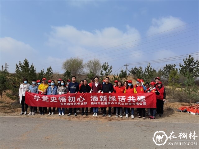 榆阳区驼峰办东岳路社区：学党史悟初心，添新绿话共建