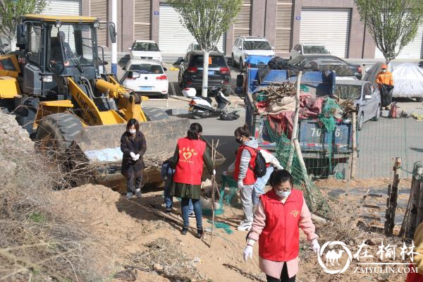 金沙路街道司法所组织社区矫正人员开展人居环境整治实践活动