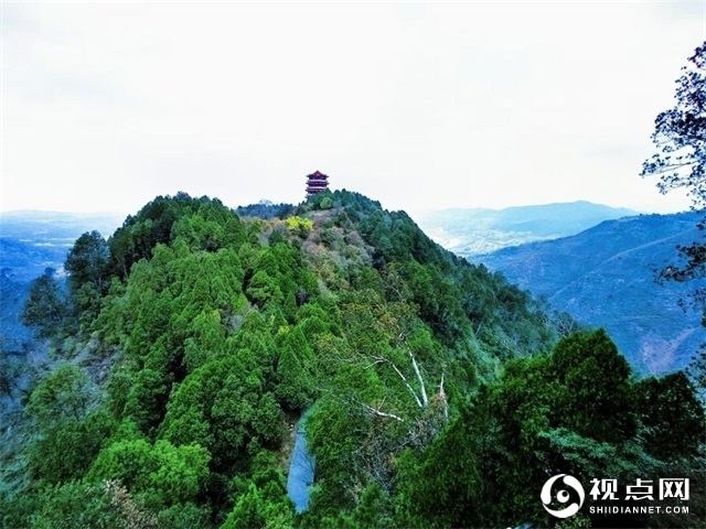 汉中市西乡县堰口镇：名山 秀水 花海 绿茶美如画