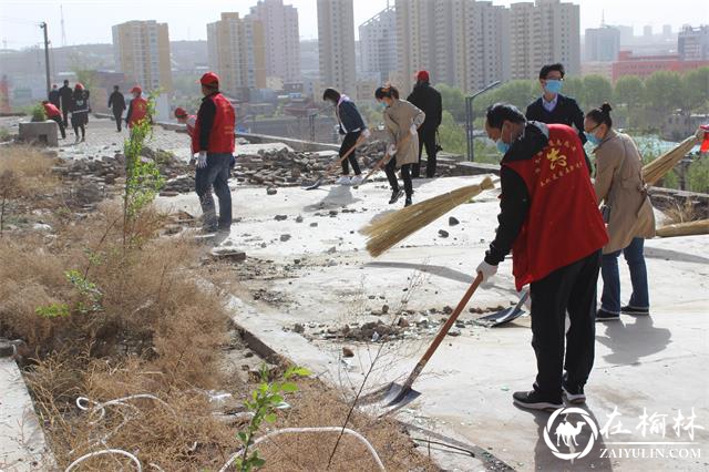 榆阳区崇文办芹涧路社区开展“巩固国卫靓家园”主题志愿服务活动