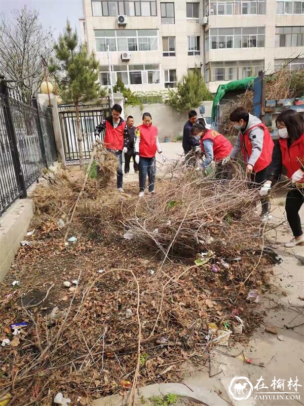 长城路街道滨河路社区:学党史 见行动 为党史学习教育增添色彩
