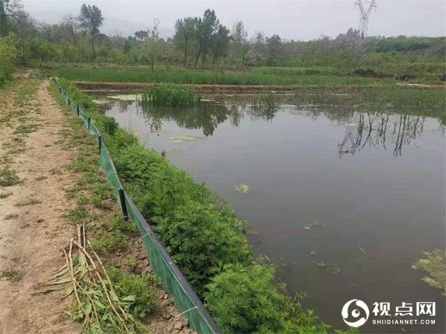 渭南市临渭区水产工作站开展水产品疫病和药物残留检疫工作