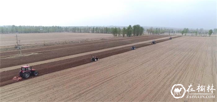 神木市尔林兔镇:土地托管成为农业社会化服务的新模式