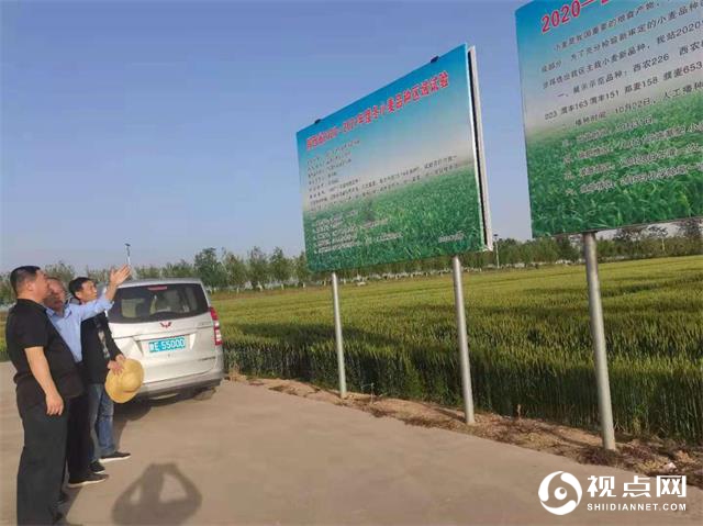 陕西省种子工作总站领导来临渭区检查指导种子工作