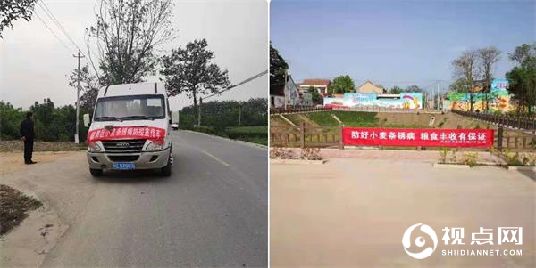 渭南市临渭区：全面监测 广泛动员 全力做好小麦条锈病防控