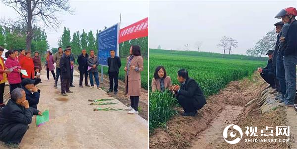 渭南市临渭区：全面监测 广泛动员 全力做好小麦条锈病防控