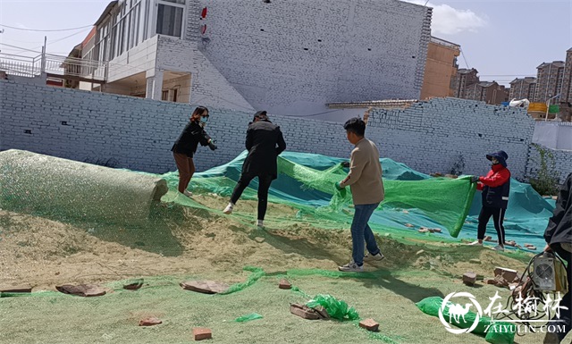 榆阳区驼峰办望湖路社区开展一系列环境卫生整治活动