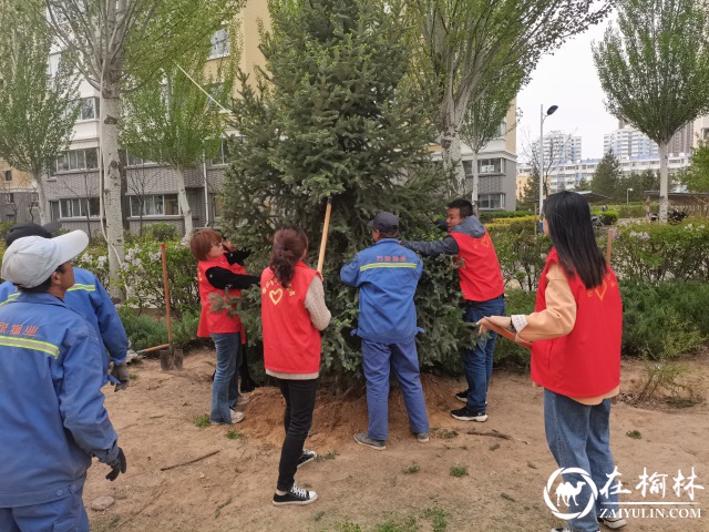 榆阳区驼峰办金阳社区学党史接地气 助力革命摇篮新陕北