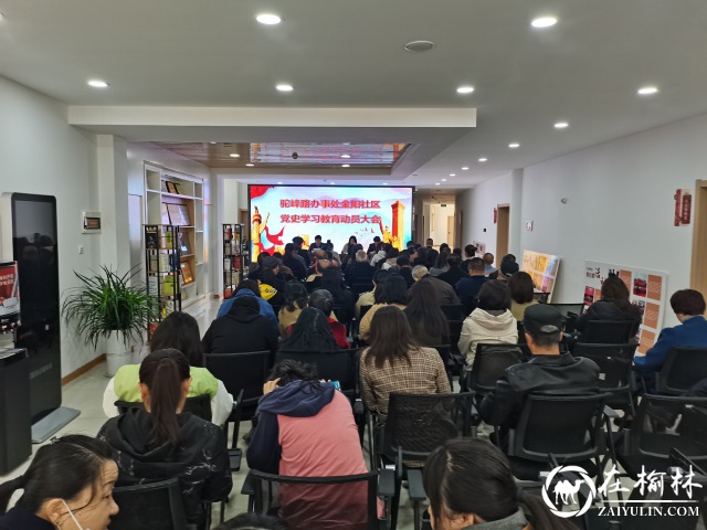 榆阳区驼峰办金阳社区学党史接地气 助力革命摇篮新陕北