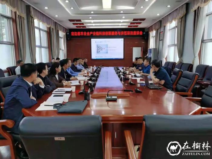定边县羊业全产业链科技创新服务与示范项目座谈会召开