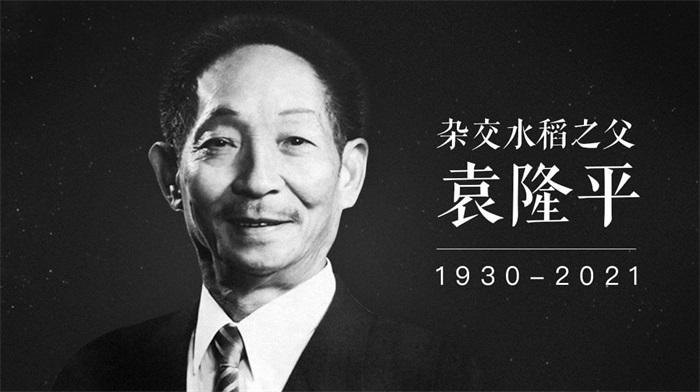 传承袁隆平精神,在奋进中实现自我
