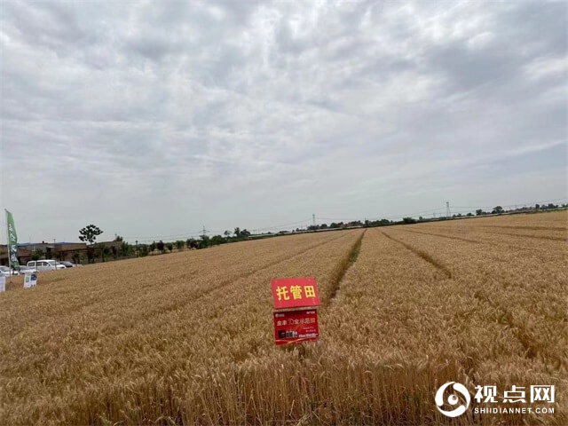 渭南市临渭区“又是一年丰收时”庆丰收喜总结活动圆满举办