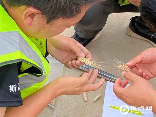 渭南市临渭区“又是一年丰收时”庆丰收喜总结活动圆满举办