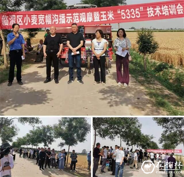 渭南市临渭区召开宽幅沟播示范观摩暨玉米“5335”技术培训会