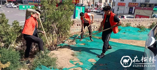 榆阳区桃源路社区：创卫成果大家享 “国卫”复审靠大家