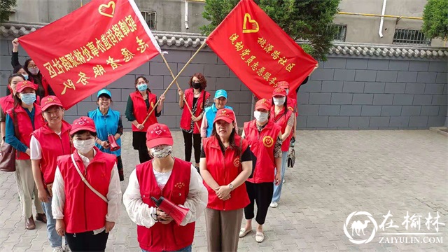 榆阳区桃源路社区：创卫成果大家享 “国卫”复审靠大家