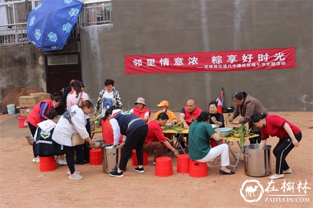 包粽子、义诊、文艺演出，榆林市榆阳区这个社区的端午节这样过