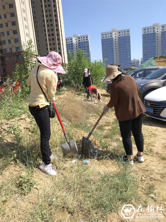 榆阳区驼峰路街道望湖路社区多措并举迎接创国卫复检