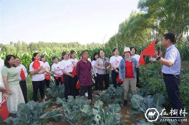 崇文路街道崇文路社区开展“喜迎建党100年，铭记党恩助农忙”活动