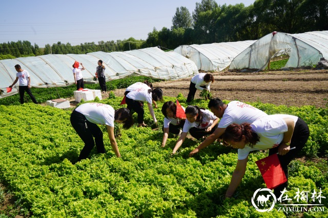 崇文路街道崇文路社区开展“喜迎建党100年，铭记党恩助农忙”活动