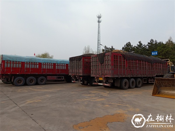 榆林市公路局古城滩超限检测站二季度路警联合执法整治成效显著