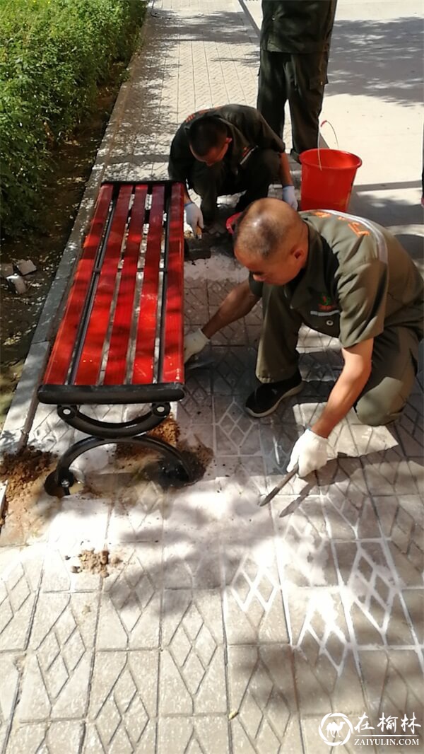 献礼建党百年，榆阳区驼峰办金阳社区开展喜迎“七一”党建系列活动