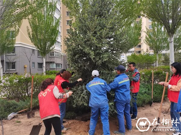 献礼建党百年，榆阳区驼峰办金阳社区开展喜迎“七一”党建系列活动