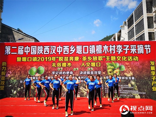 陕西汉中西乡县堰口镇以辉煌业绩向建党百年献礼