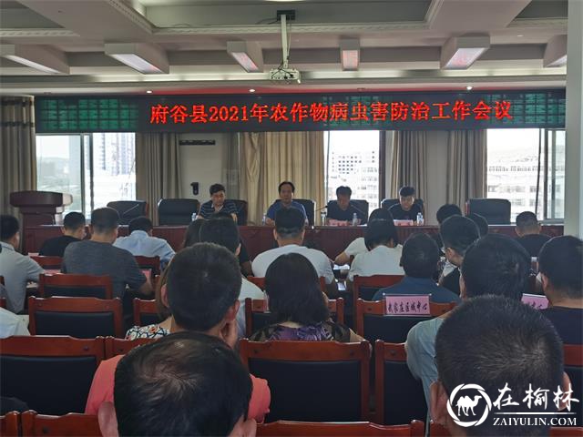 府谷县积极开展粘虫和谷子负泥虫防控工作