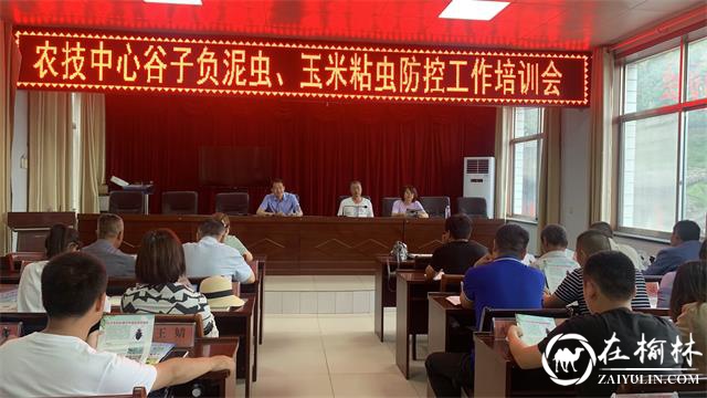 府谷县积极开展粘虫和谷子负泥虫防控工作