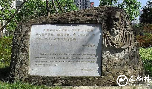 绩效考核下的医者仁心