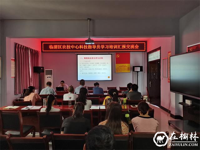 临渭区农技中心连续3天召开科技交流会 持续加快科技指导员能力提升