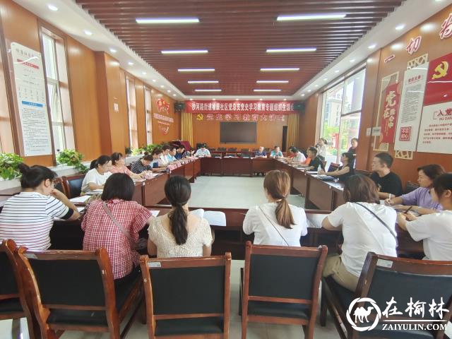榆阳区沙河办榆康社区党总支召开党史学习教育专题组织生活会