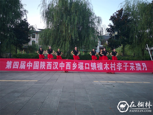 第四届中国陕西汉中西乡堰口镇檀木村李子采摘月成功举办