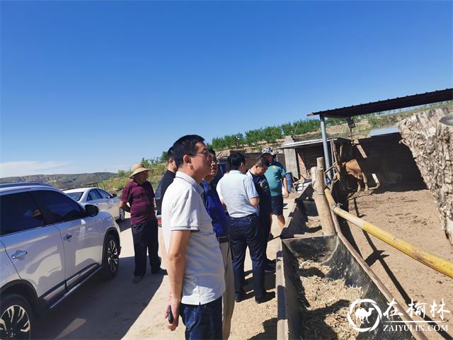 榆阳区建筑业服务中心实地调研乡村振兴工作并慰问驻村帮扶干部