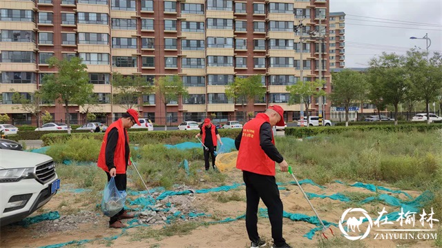 榆阳区驼峰办望湖路社区开展“清洁家园靠大家”主题活动
