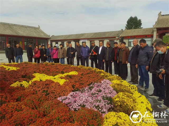 品重阳糕，登镇北台，过别样的重阳节