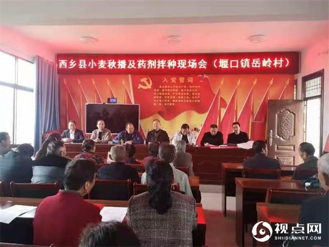 陕西西乡县堰口镇岳岭村学史力行用心为群众办实事