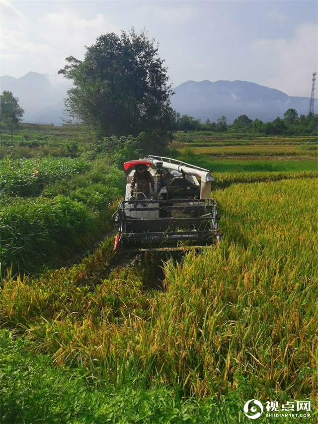 陕西西乡县堰口镇岳岭村学史力行用心为群众办实事