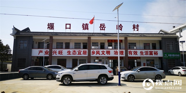 陕西西乡县堰口镇岳岭村学史力行用心为群众办实事