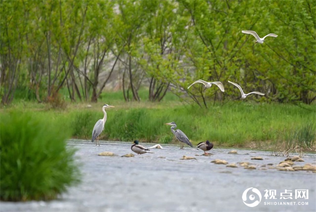 汉中市西乡县堰口镇坚持不懈保护山青水碧天蓝地净美好生态环境