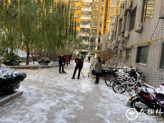 榆阳区沙河路街道阳光城社区：人人参与扫积雪，天气虽冷人心暖