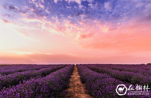 “一强三美”书写乡村振兴新画卷