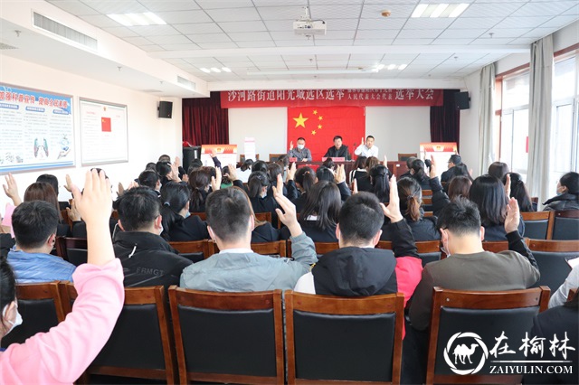 阳光城社区圆满完成了区第十九届人大代表换届选举工作