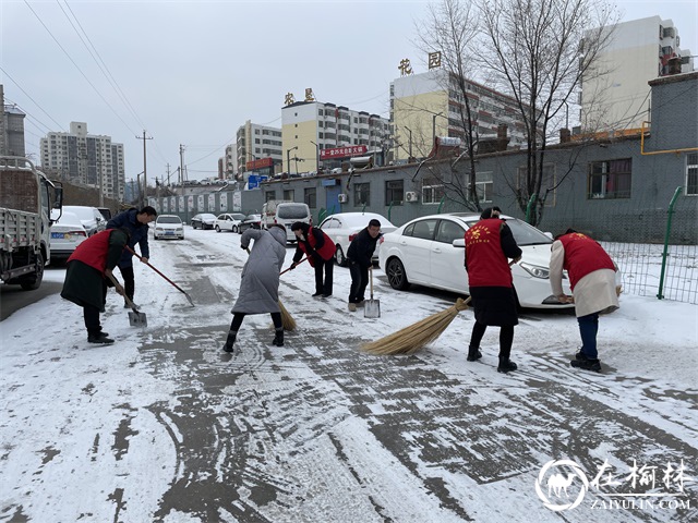 榆阳区崇文路街道春苑社区党支部组织全体干部扫雪，确保居民出行安全