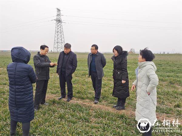 渭南市农业农村局到临渭调研指导科技壮苗工作