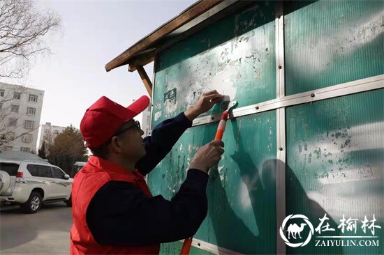 沙河路街道开源社区开展“学雷锋，我行动”环境整治活动